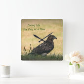 Juvenile Red Tail Hawk, die jaagt in gras Vierkante Klok (Huis)