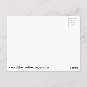 Juvenile Red Tailed Hawk Briefkaart