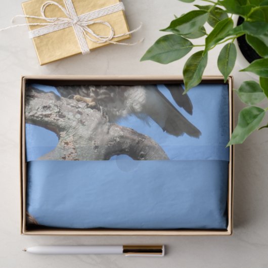 Juvenile Red Tailed Hawk composiet Tissuepapier (Geschenk)