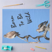 Juvenile Red Tailed Hawk composiet Tissuepapier (Craft)