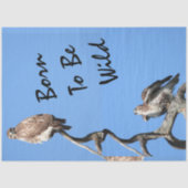 Juvenile Red Tailed Hawk composiet Tissuepapier (Voorkant)