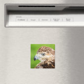 Juvenile Red Tailed Hawk Magneet (Insitu (Vaatwasser))