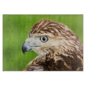 Juvenile Red Tailed Hawk Snijplank (Voorkant)