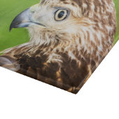 Juvenile Red Tailed Hawk Snijplank (Hoek)