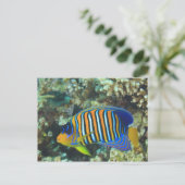 Juvenile Regal Angelfish Pygoplites Briefkaart (Staand voorkant)