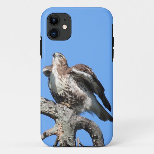 Juvenile Rode Staart Havik Case-Mate iPhone Case (Achterkant)