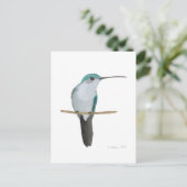 Juvenile Ruby-throated Hummingbird Briefkaart (Staand voorkant)