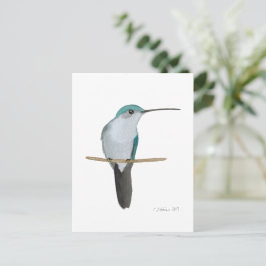 Juvenile Ruby-throated Hummingbird Briefkaart (Staand voorkant)