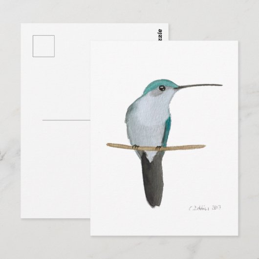 Juvenile Ruby-throated Hummingbird Briefkaart (Voorkant / Achterkant)