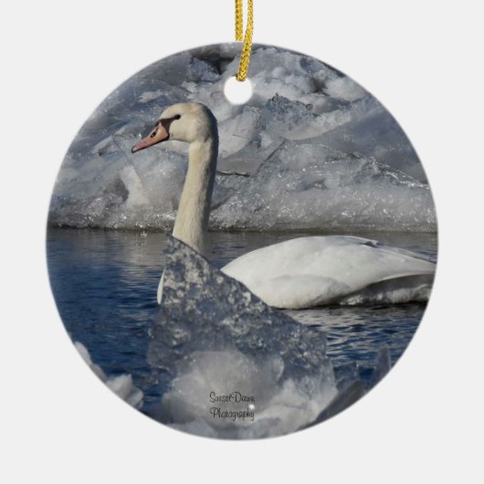 Juvenile Swan in de rivier Icey Keramisch Ornament (Voorkant)