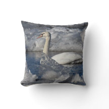 Juvenile Swan in de rivier Icey