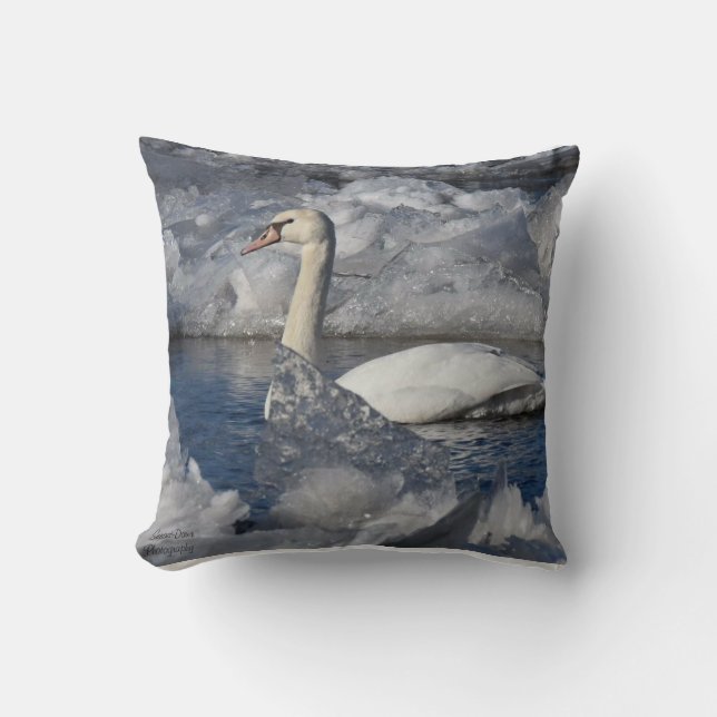 Juvenile Swan in de rivier Icey Kussen (Voorkant)