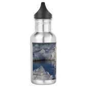 Juvenile Swan in de rivier Icey Waterfles (Links)