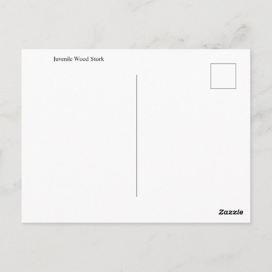 Juvenile Wood Stork Briefkaart (Achterkant)