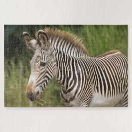 Juvenile Zebra Legpuzzel