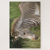 Juvenile Zebra Legpuzzel (Verticaal)