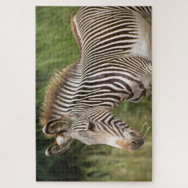 Juvenile Zebra Legpuzzel