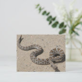 Juvenille Black RattleSnake Briefkaart (Staand voorkant)