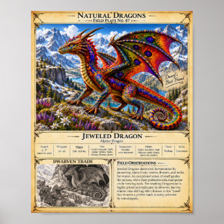 Juweel Draak Veldplaat Poster