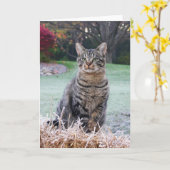 Juweel op stro kaart (Gele Bloem)