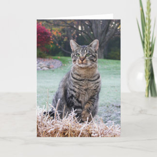 Juweel op stro kaart