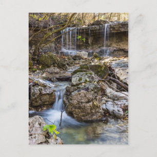 Juwel of Henning Conservation Blank Post Kaart