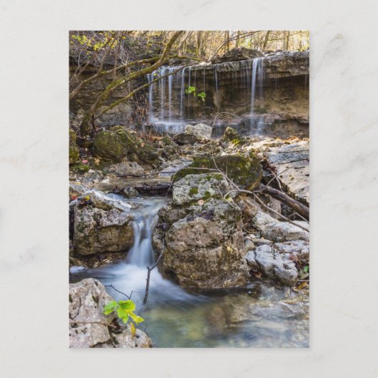 Juwel of Henning Conservation Blank Post Kaart (Voorkant)