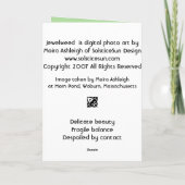 juwelen kaart (Achterkant)