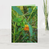 juwelen kaart (Voorkant)