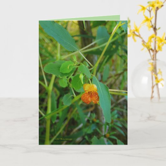 juwelen kaart (Gele Bloem)