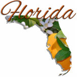 Juwelen - Pin - FLORIDA Fotobeeldje Magneet<br><div class="desc">Hoewel af en toe "de staat op het schiereiland" wordt genoemd, is de officiële bijnaam van Florida "De staat van de zon". Het werd in 1970 officieel goedgekeurd door de wetgever van Florida. Het is waarschijnlijk geen grote verrassing dat de bloem van de staat Florida de Oranje bloesem is. Florida...</div>