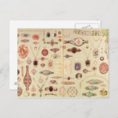 Juwelen uit de Catalogus Tiffany, 1890 Briefkaart (Voorkant / Achterkant)