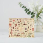 Juwelen uit de Catalogus Tiffany, 1890 Briefkaart (Staand voorkant)