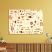 Juwelen uit de Catalogus Tiffany, 1890 Canvas Afdruk (Insitu (Woonkamer))