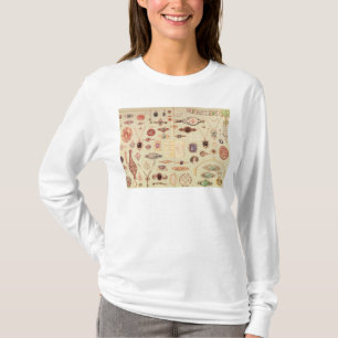 Juwelen uit de Catalogus Tiffany, 1890 T-shirt