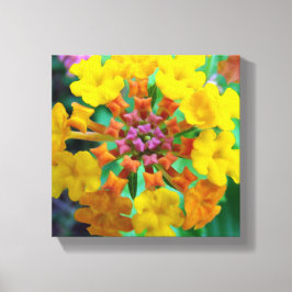 Juwelen van de zomer canvas afdruk