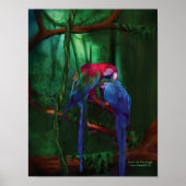 Juwelen van het Oerwoud, Poster/afdrukken Poster (Voorkant)