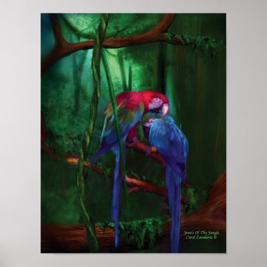 Juwelen van het Oerwoud, Poster/afdrukken Poster (Voorkant)