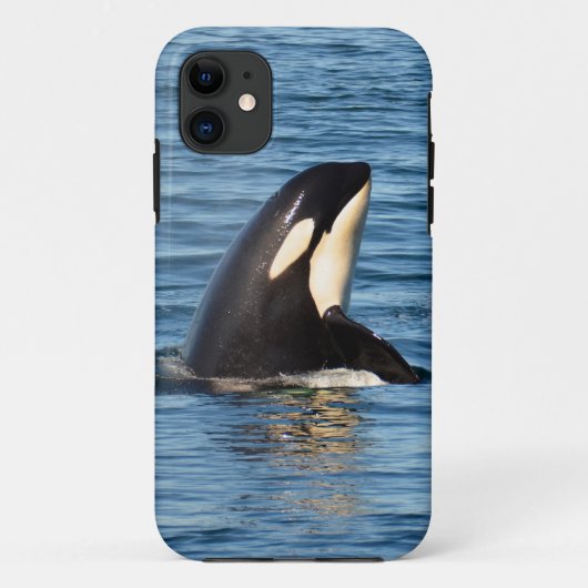 K27 Orca Spyhop iPhone 5/5S Hoesje (Achterkant)