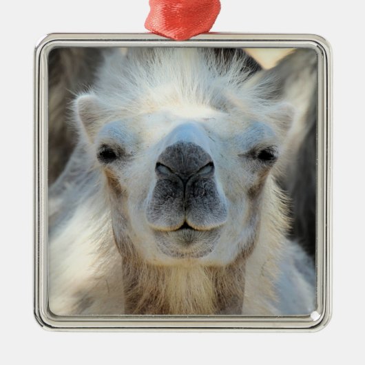 K2 Keramisch siermateriaal Metalen Ornament (Voorkant)