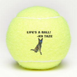 K9 Taze bal