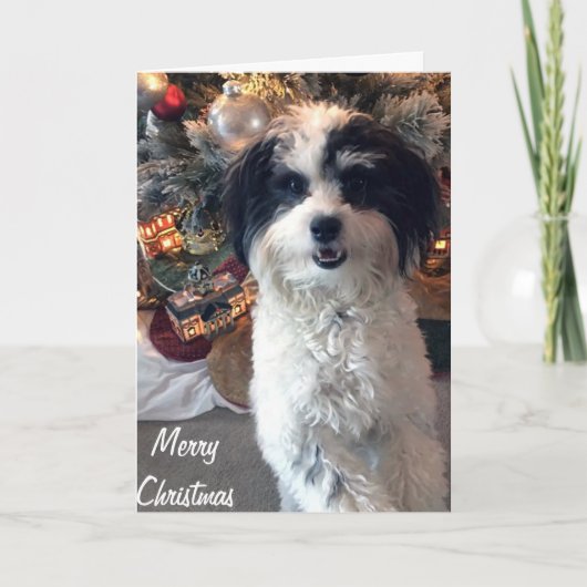 K-Cee Christmas Kaart, Vrolijk kerstfeest Kaart (Voorkant)