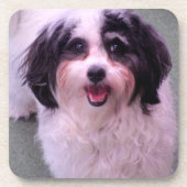 K-Cee Smile Cute Dog Set Bier Onderzetter (Voorkant)