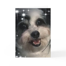 K-Cee Stars Dank je wel