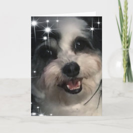 K-Cee Stars Dank je wel Kaart