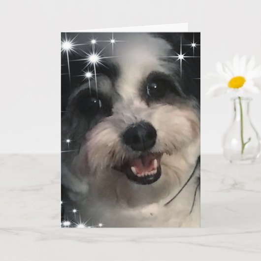 K-Cee Stars Dank je wel Kaart (Kleine Plant)