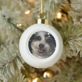 K-Cee Stars Zuchon Dog Keramische Bal Ornament