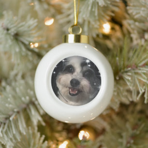 K-Cee Stars Zuchon Dog Keramische Bal Ornament