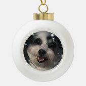 K-Cee Stars Zuchon Dog Keramische Bal Ornament (Voorkant)