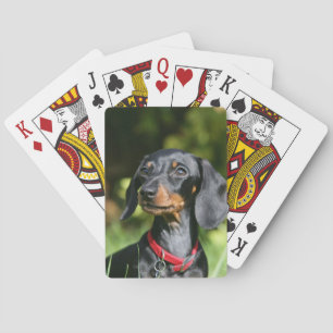 K gladharige Miniatuur Dachshund 3 Pokerkaarten